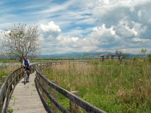 I percorsi ciclabili - Riserva Naturale Foce dell'Isonzo